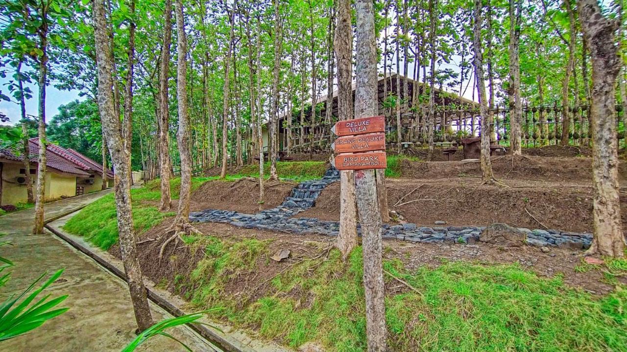Kasuari Exotic Resort Магеланг Екстериор снимка